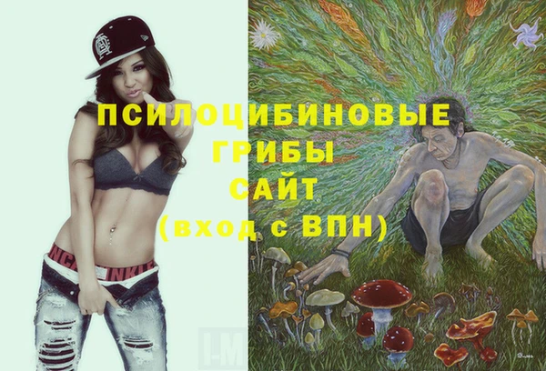 стафф Абаза