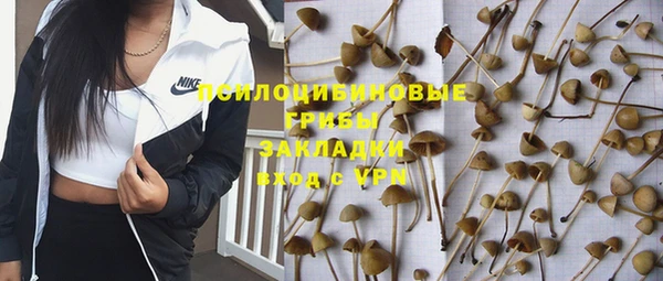 стафф Абаза